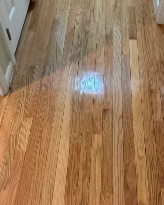 Swipe to see proof of a job well done👍 Recently, our team completed another refinishing project in Vienna, VA, and we loved how it turned out! 

If you're in the Fairfax County area and are in need of some fresh flooring or a new set of stairs, we're the team to call.
 Click the link in our bio to visit our website and schedule a free estimate or to learn more.
https://tinyurl.com/ftprntsflrsfrfx

