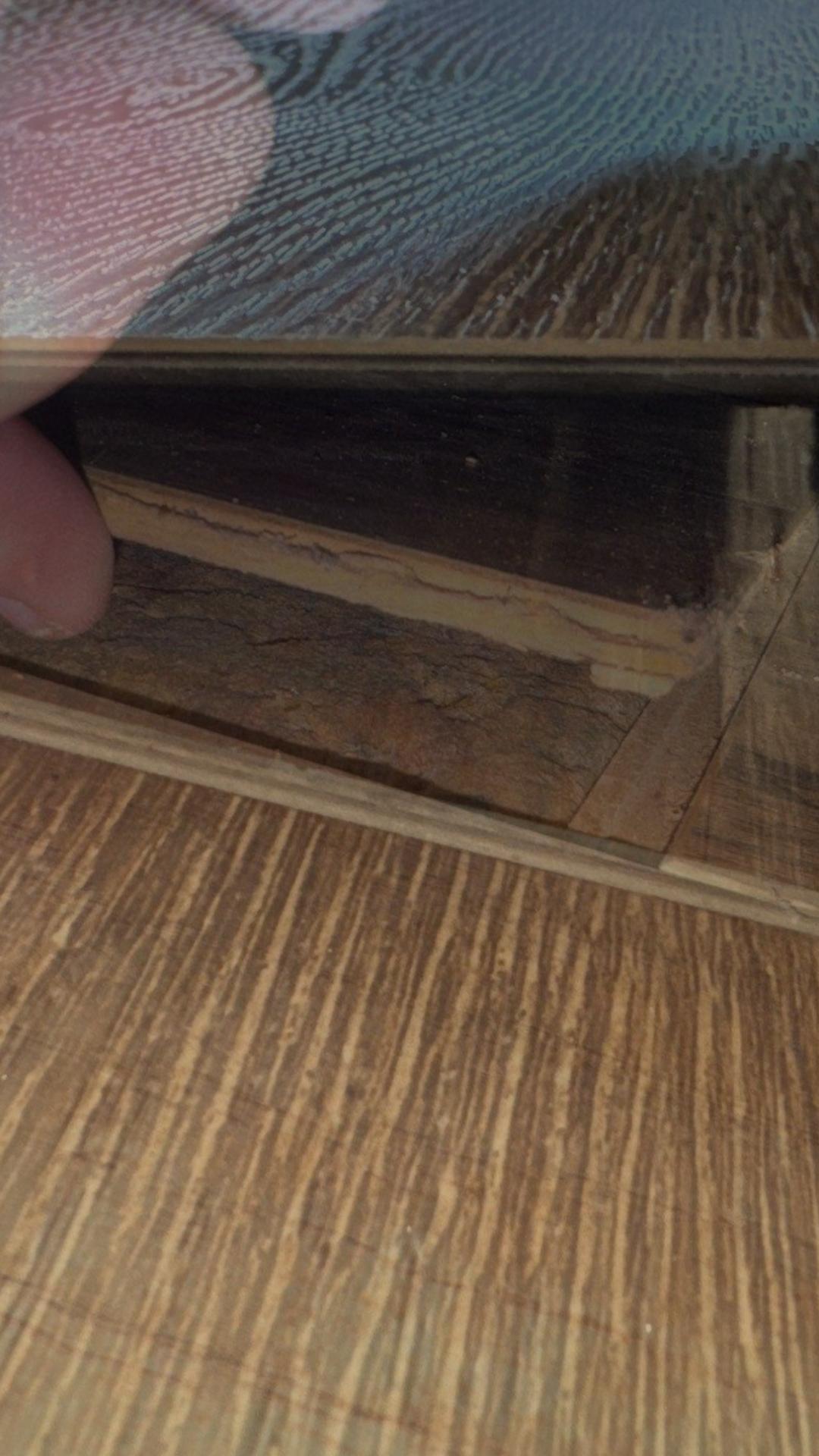 Why your Luxury Vinyl Plank (LVP) or Laminate Flooring is Failing Part 3:  Subfloor Material

Did you know that most manufacturers have strict guidelines on what is an allowable subfloor to place LVP or laminate flooring on?  In addition to the requirements of a moisture barrier when on a concrete subfloor and flatness requirements for all approved subfloors, some things are strictly prohibited and advised against.  For instance, too soft of a subfloor material can cause the same click lock mechanism failures you see with moisture warping or unlevel subfloor because the flooring as allowed to move too much straining the click lock area.  You never put LVP over floating laminate or floating hardwood subfloor.  You also never put it over carpet or carpet padding.  You generally never put it over a secondary padding unless that padding is specifically listed and approved by your flooring manufacturer.  For instance Floor and Decor will approve their Sentinel Protect Plus and Sentinel Infinity Protect plus under some of their LVP and laminate flooring but any other padding placed below the flooring will void the warranty.  You also never put LVP over engineered wood that is glued down to a concrete subfloor.  It can trap moisture from spills or from below causing the wood to rot and potentially mold to form and the flooring to fail. 

At Footprints Floors Katy / Sugarland, we know that a stunning new LVP or Laminate floor is only as good as the subfloor underneath it. That&rsquo;s why we take the time to ensure we are following the manufacturers' guidelines when it comes to subfloor material, proper leveling and flatness before a single plank is installed. Whether it&rsquo;s residential hallways or complex living areas, our team follows manufacturer and industry standards to provide a professional installation that stands the test of time. 

Call today to schedule!  346-275-2749

Is it time to upgrade your home? Contact us today for a free estimate and let&rsquo;s discuss your vision! Vinyl Plank 