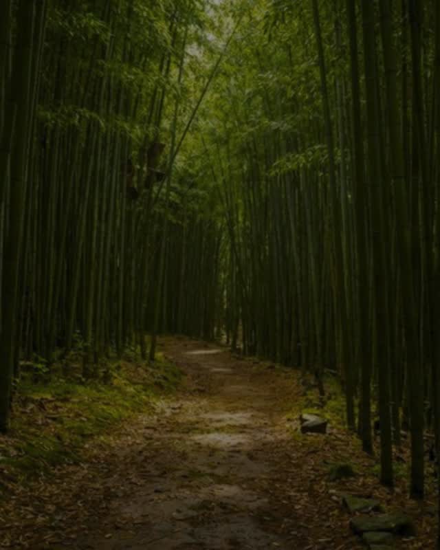🌎 This Earth Day, make a choice that's better for your home and the planet.

If you're planning a flooring upgrade, here are some eco-friendly options we can help install:

🌱 Reclaimed wood is a recycled material
🌱 Engineered hardwood uses less solid wood per plank
🌱 Cork flooring is responsibly harvested with minimal impact
🌱 Bamboo flooring grows quickly, making it easily renewable

At Footprints Floors McKinney, we believe great floors should leave a lasting impression, not a heavy environmental footprint. Contact us today at 214-501-5441 for a free estimate!

