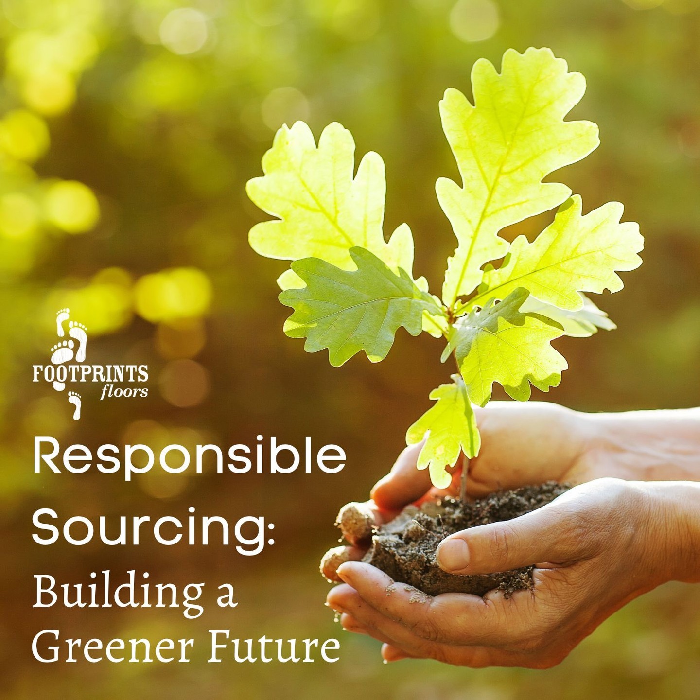 In part 3 of our sustainability series, we're looking at tree harvesting practices. Our country strives to protect our precious forests while simultaneously working to meet our housing needs. We're proud of the way wood flooring is being sourced today in these 4 ways:

1. Reforestation: With the understanding that planting trees is key to maintaining a healthy ecosystem, the U.S. is actively involved in reforestation efforts. Forest restoration projects are underway across the nation, promoting biodiversity and sustainability.

2. Harvesting Regulations: The U.S. has established comprehensive harvesting regulations to prevent overcutting and protect vulnerable areas such as old-growth forests and wildlife habitats. These regulations ensure that logging activities are carried out responsibly and sustainably.

3. Certification: The United States boasts rigorous certification programs like the Forest Stewardship Council (FSC) and Sustainable Forestry Initiative (SFI). These programs ensure that the timber and paper products we use come from responsibly managed forests

4. Conservation Partnerships: Collaboration is crucial! The United States collaborates with various organizations, including environmental groups, local communities, and industry stakeholders, to develop and implement sustainable forestry practices. Together, we're fostering a culture of responsible sourcing.

Footprints Floors Chicago celebrates the efforts being made to protect our forests and ensure a thriving future for generations to come!