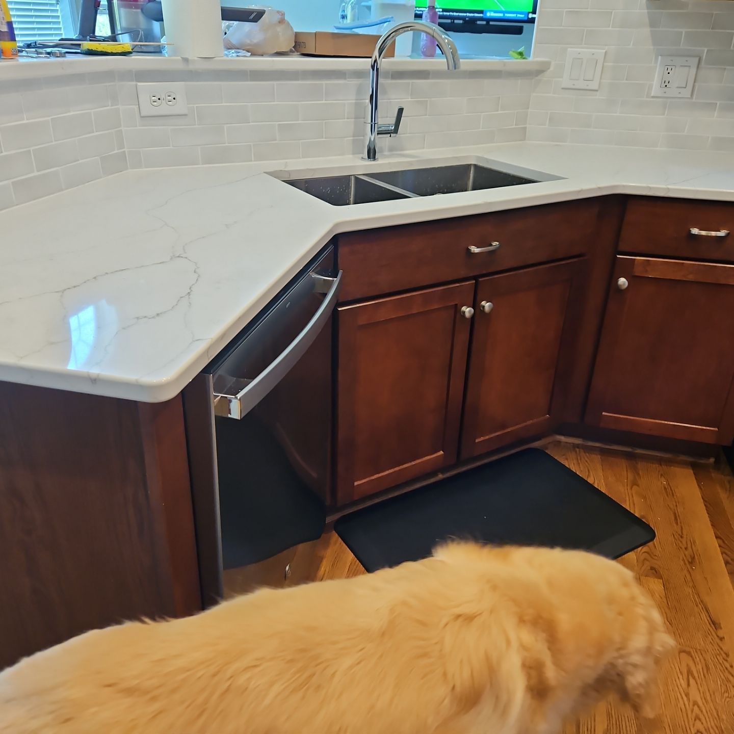 This backsplash not only brightened up the kitchen, it meets the puppy seal of approval!