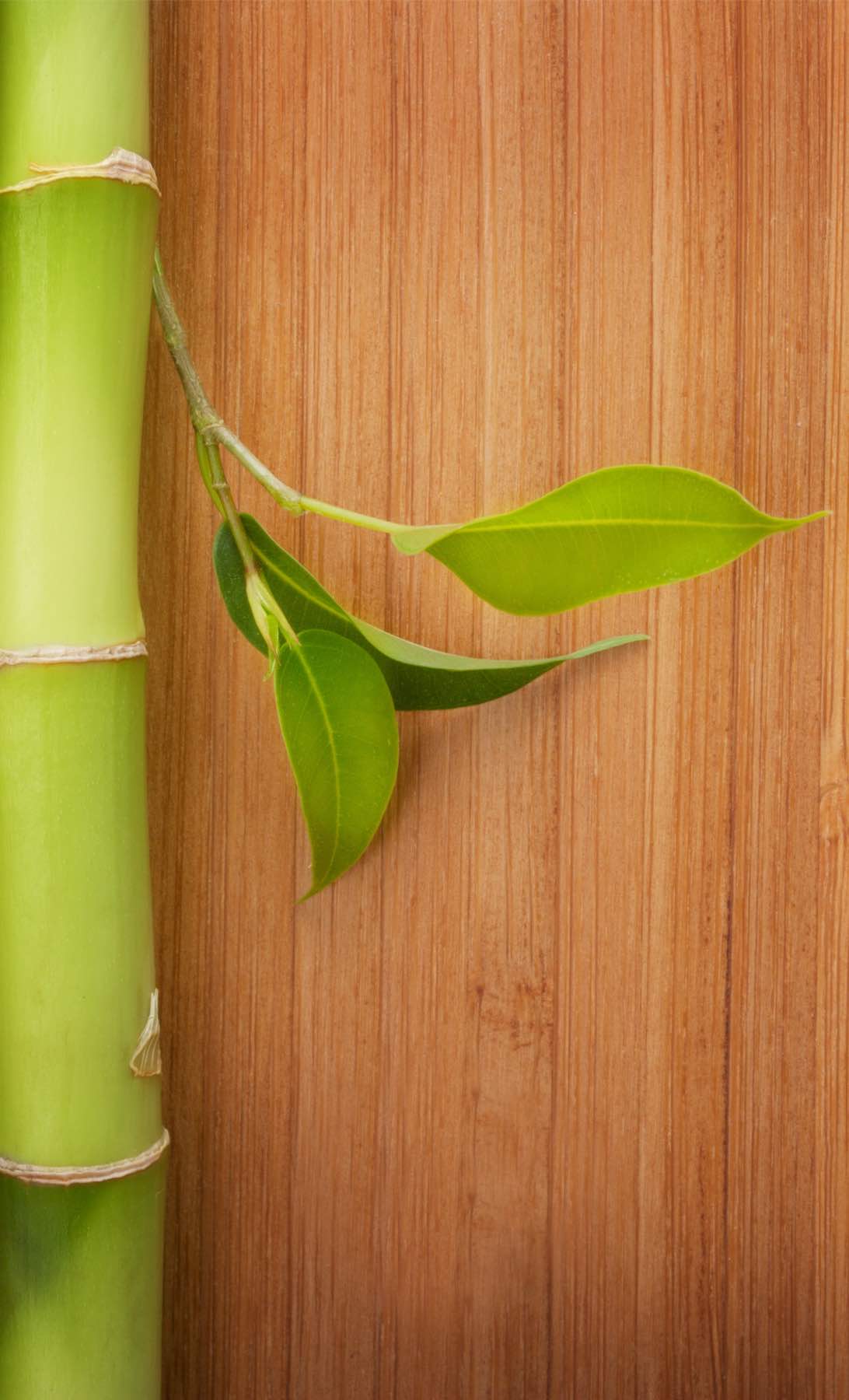 Bamboo wood flooring with  Footprints Floors .