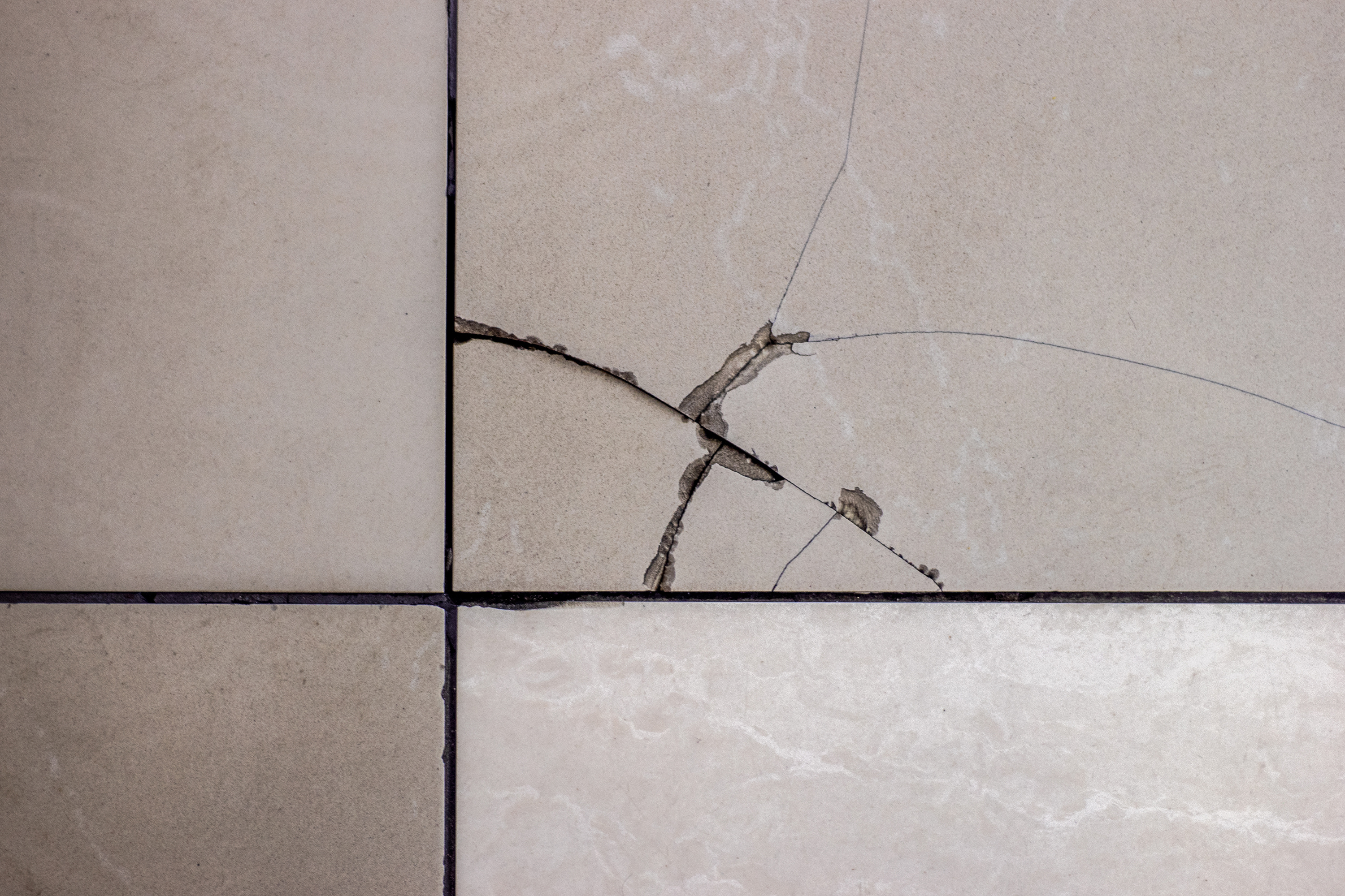 A couple of tiles that are cracked and need repaired.