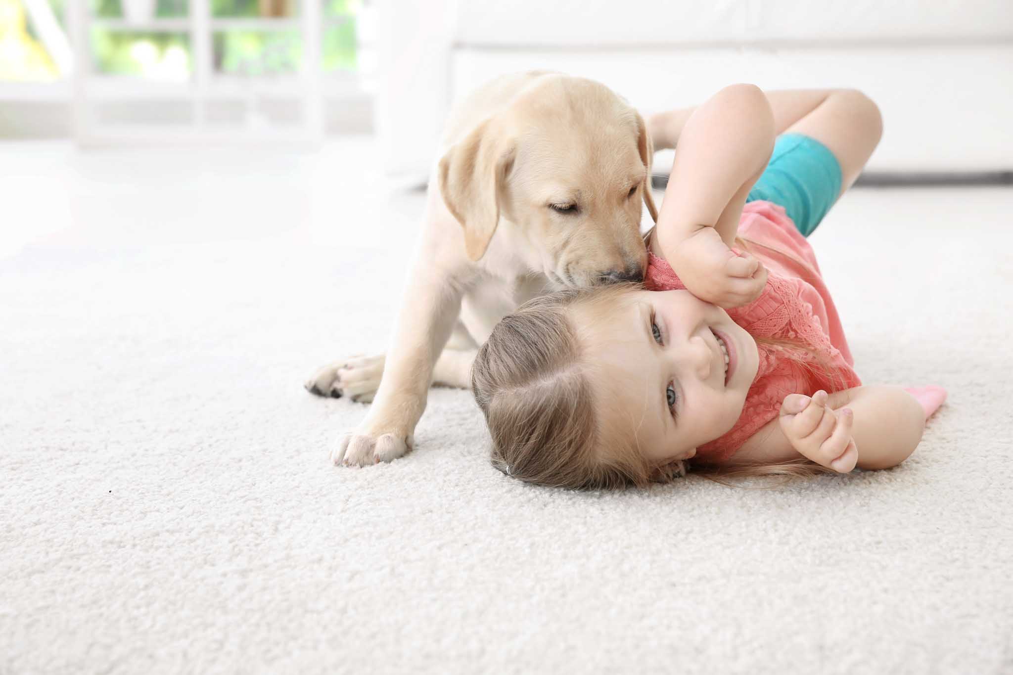 An image of a little girl and her pup on a carpet.