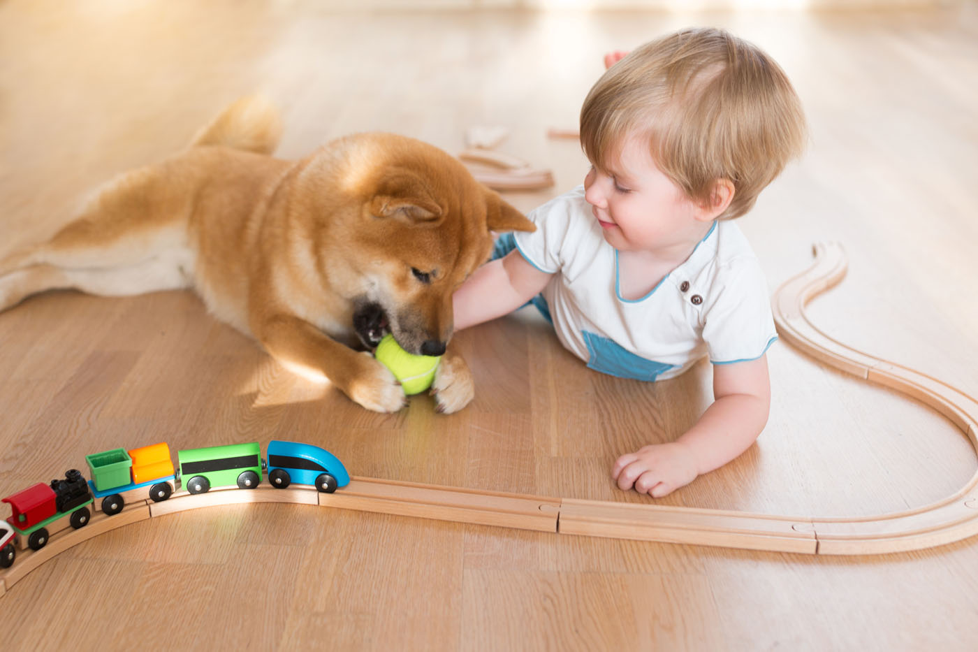 Footprints Floors in San José, CA vinyl flooring is perfect for the summer time, especially with kids.